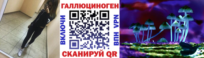 Галлюциногенные грибы GOLDEN TEACHER  цена наркотик  Вышний Волочёк 